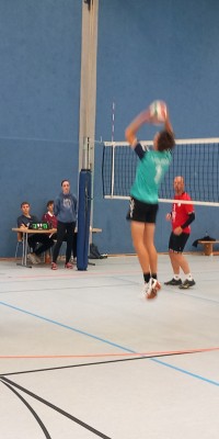 Volleyball Ligapokal in der heimischen Rosentalhalle - 20240921_100855_009_saved_41a50c6491b2073e5952f6a5c80e0edb