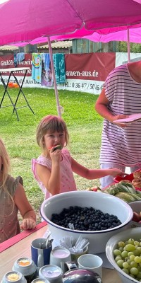 Emotionale Verabschiedung und groẞartige Ehrungen zum sportlichen Sommerfest der Volleyballer - IMG-20240811-WA0091_6a931a2d441742a23aba8409dabc74ff